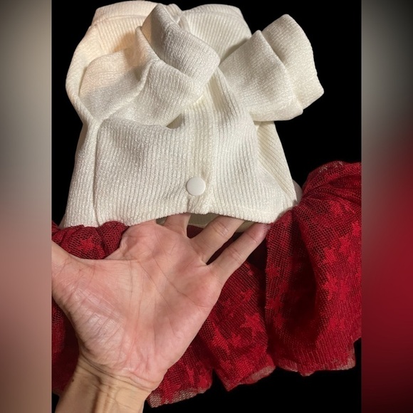 Christmas Dog Dress Lace Tulle Bottom Leash attachment Beige Red embroidery - Picture 8 of 16